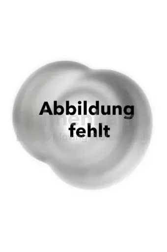 Velg TW 16 L x 46, Zilver RAL9006